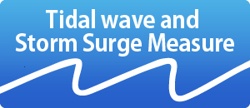 Tidal wave and storm surge measure