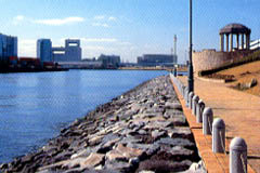 写真2