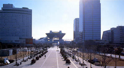 写真-1