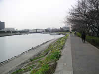 遊歩道の写真