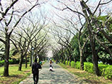 辰巳の森緑道公園