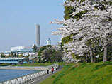 京浜運河緑道公園