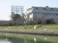 勝島運河の写真