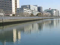 汐浜運河の写真